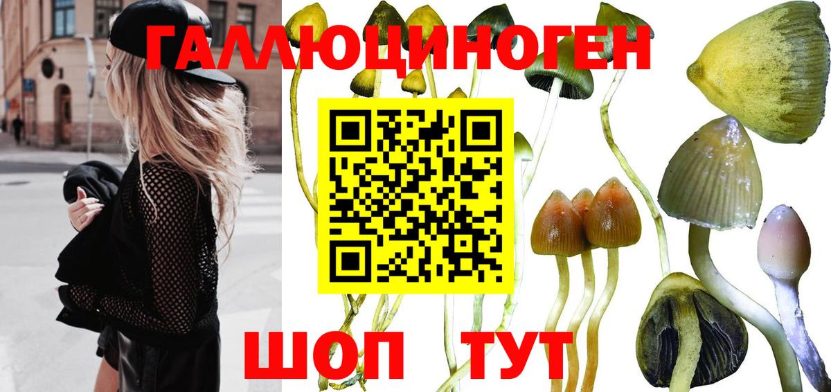 Лиски  Галлюциногенные грибы Psilocybine cubensis  Вход с VPN 